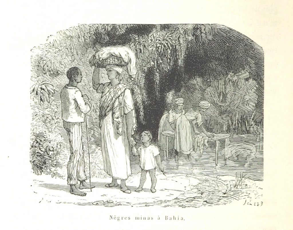 An illustration from L'Espace céleste et la nature tropicale, description physique de l'univers ... préface de M. Babinet, dessins de Yan' Dargent, 1866, leaf 338