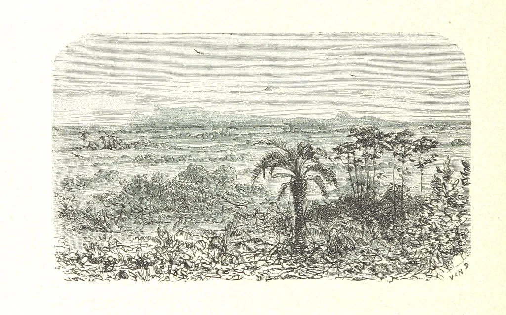 An illustration from L'Espace céleste et la nature tropicale, description physique de l'univers ... préface de M. Babinet, dessins de Yan' Dargent, 1866, leaf 34