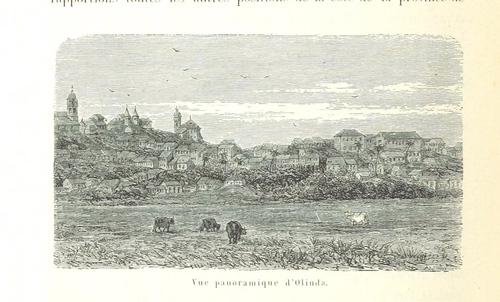 An illustration from L'Espace céleste et la nature tropicale, description physique de l'univers ... préface de M. Babinet, dessins de Yan' Dargent, 1866, leaf 344