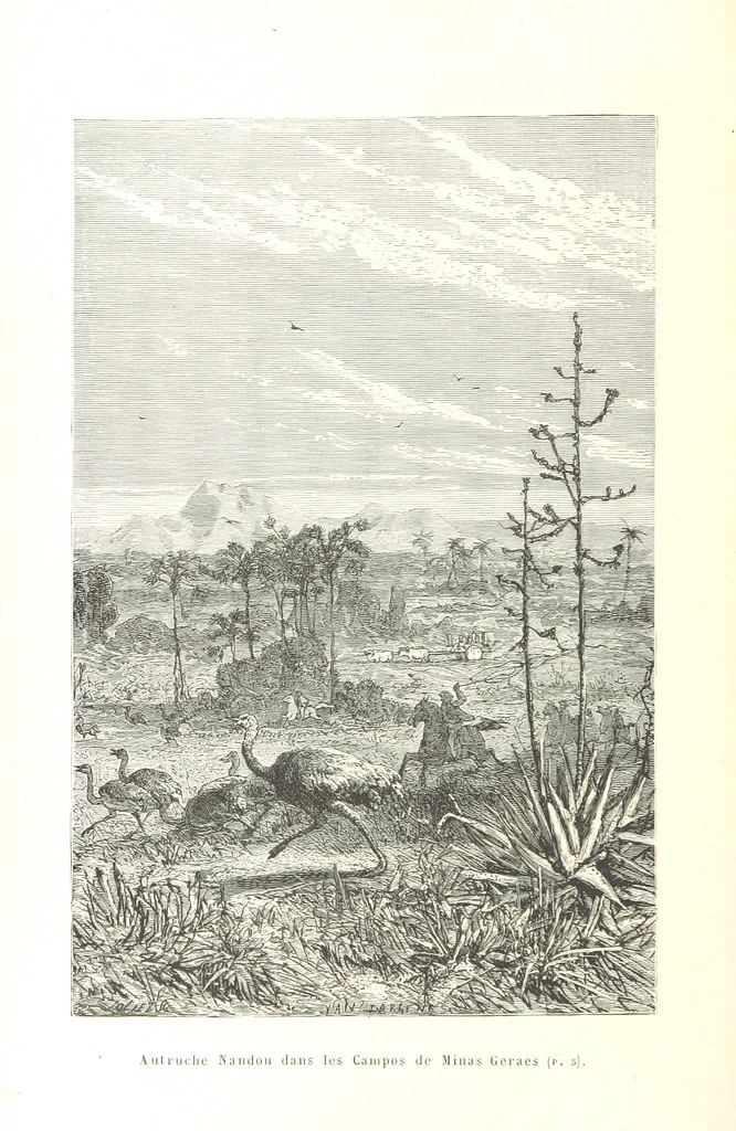 An illustration from L'Espace céleste et la nature tropicale, description physique de l'univers ... préface de M. Babinet, dessins de Yan' Dargent, 1866, leaf 36