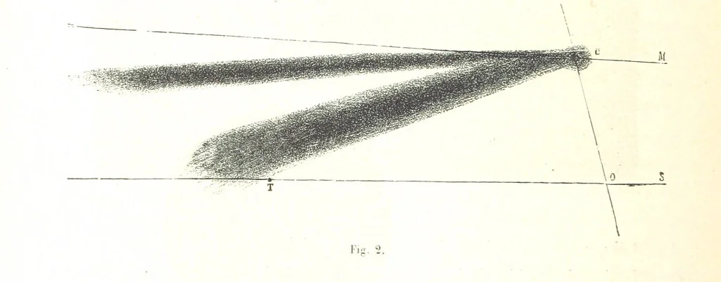 An illustration from L'Espace céleste et la nature tropicale, description physique de l'univers ... préface de M. Babinet, dessins de Yan' Dargent, 1866, leaf 376