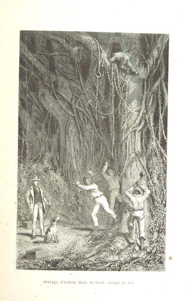 An illustration from L'Espace céleste et la nature tropicale, description physique de l'univers ... préface de M. Babinet, dessins de Yan' Dargent, 1866, leaf 381
