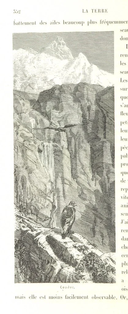 An illustration from L'Espace céleste et la nature tropicale, description physique de l'univers ... préface de M. Babinet, dessins de Yan' Dargent, 1866, leaf 422