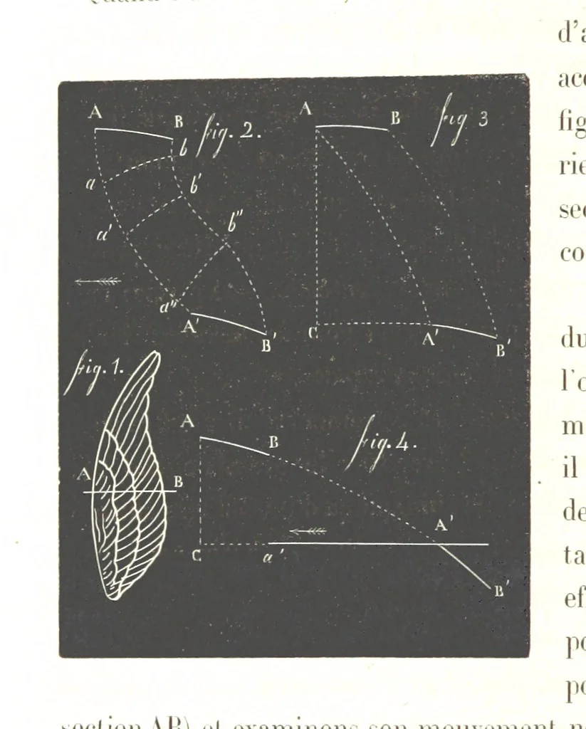 An illustration from L'Espace céleste et la nature tropicale, description physique de l'univers ... préface de M. Babinet, dessins de Yan' Dargent, 1866, leaf 424