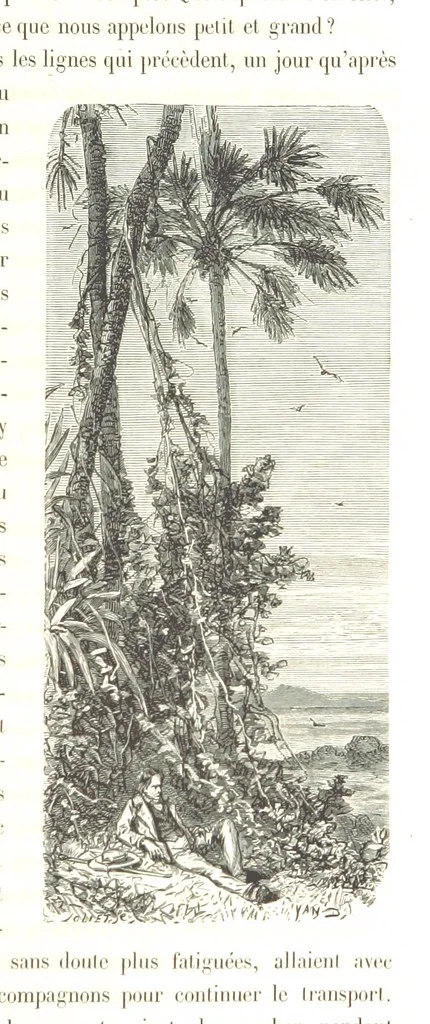 An illustration from L'Espace céleste et la nature tropicale, description physique de l'univers ... préface de M. Babinet, dessins de Yan' Dargent, 1866, leaf 43