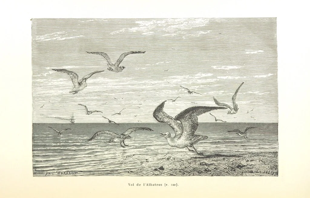 An illustration from L'Espace céleste et la nature tropicale, description physique de l'univers ... préface de M. Babinet, dessins de Yan' Dargent, 1866, leaf 430