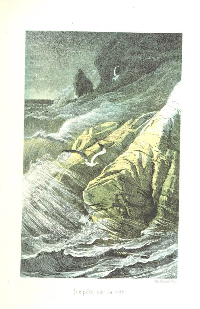 An illustration from L'Espace céleste et la nature tropicale, description physique de l'univers ... préface de M. Babinet, dessins de Yan' Dargent, 1866, leaf 471
