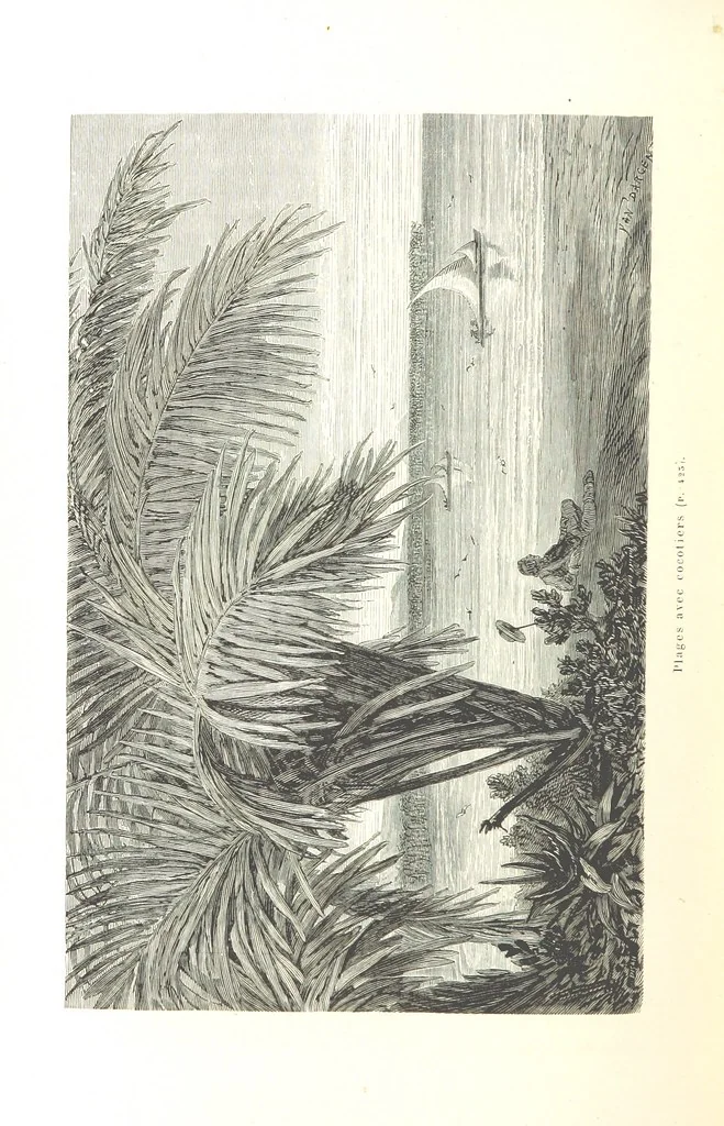 An illustration from L'Espace céleste et la nature tropicale, description physique de l'univers ... préface de M. Babinet, dessins de Yan' Dargent, 1866, leaf 504