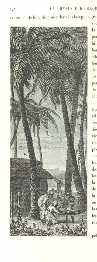 An illustration from L'Espace céleste et la nature tropicale, description physique de l'univers ... préface de M. Babinet, dessins de Yan' Dargent, 1866, leaf 506