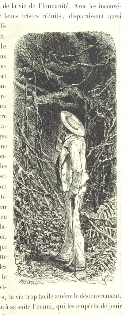 An illustration from L'Espace céleste et la nature tropicale, description physique de l'univers ... préface de M. Babinet, dessins de Yan' Dargent, 1866, leaf 507