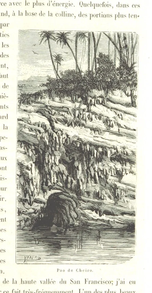 An illustration from L'Espace céleste et la nature tropicale, description physique de l'univers ... préface de M. Babinet, dessins de Yan' Dargent, 1866, leaf 509