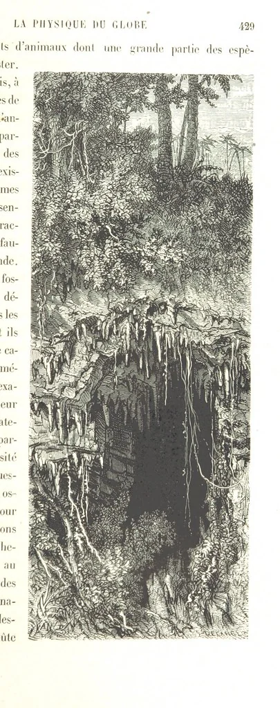 An illustration from L'Espace céleste et la nature tropicale, description physique de l'univers ... préface de M. Babinet, dessins de Yan' Dargent, 1866, leaf 511