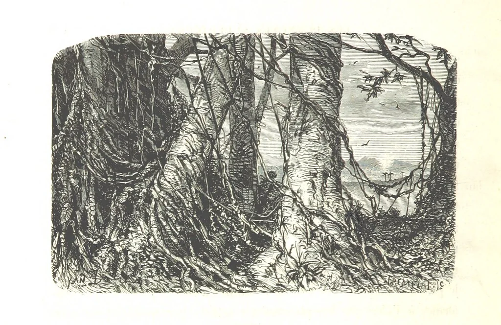 An illustration from L'Espace céleste et la nature tropicale, description physique de l'univers ... préface de M. Babinet, dessins de Yan' Dargent, 1866, leaf 568