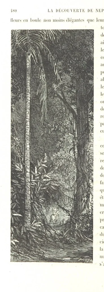 An illustration from L'Espace céleste et la nature tropicale, description physique de l'univers ... préface de M. Babinet, dessins de Yan' Dargent, 1866, leaf 570