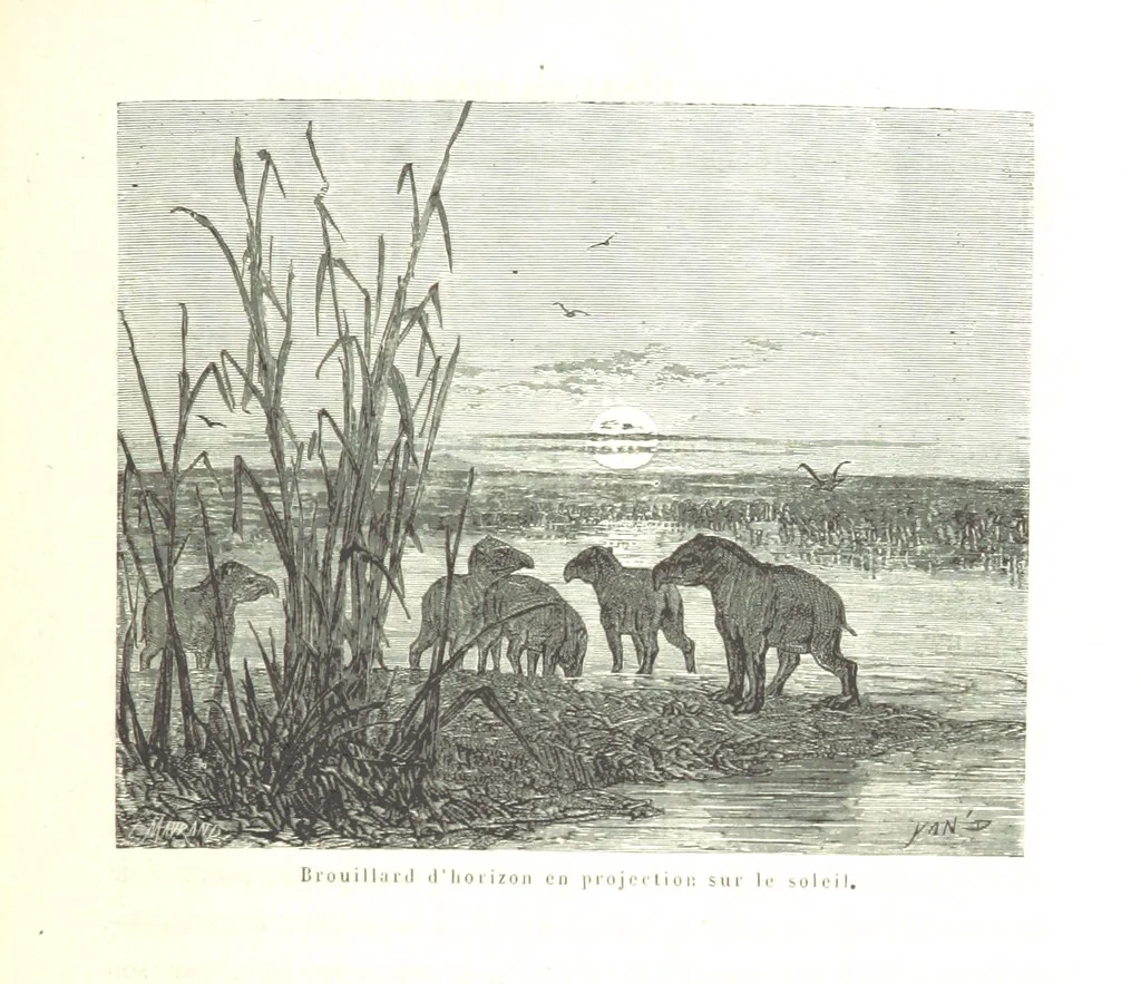 An illustration from L'Espace céleste et la nature tropicale, description physique de l'univers ... préface de M. Babinet, dessins de Yan' Dargent, 1866, leaf 589