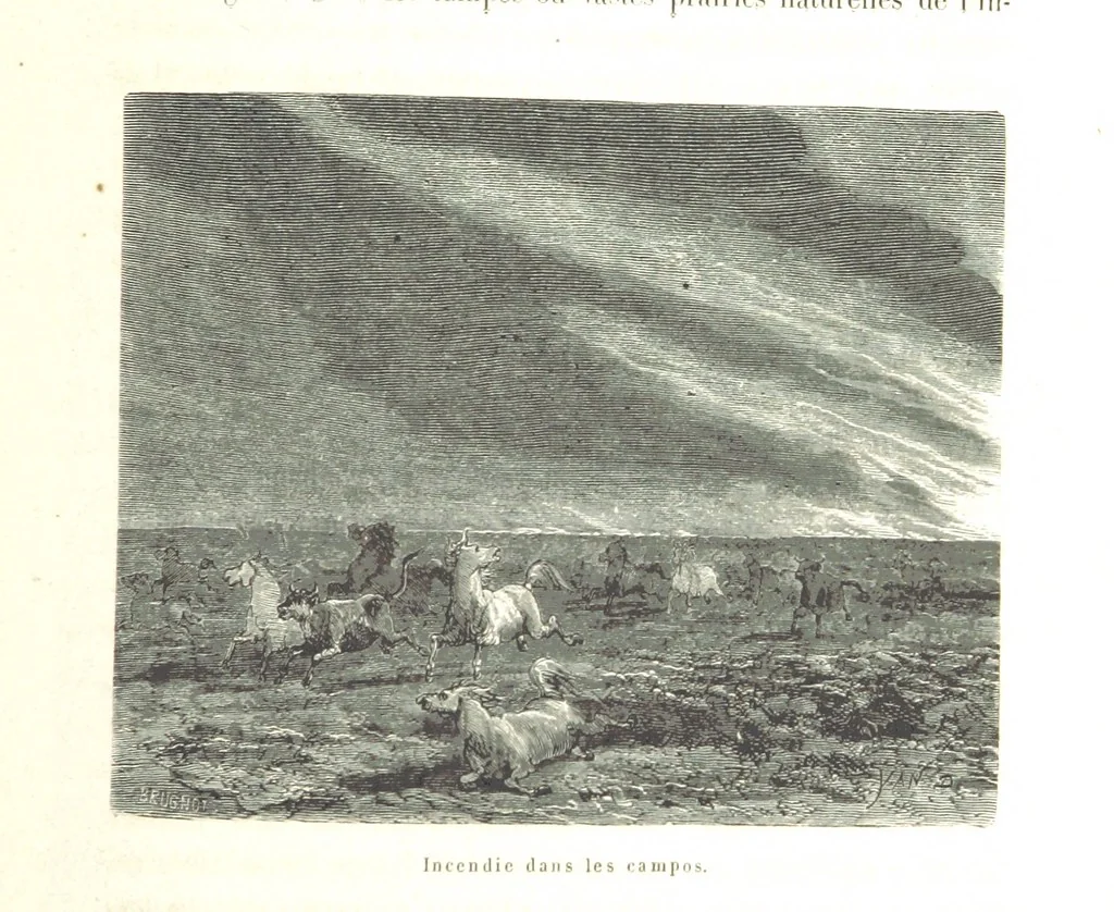 An illustration from L'Espace céleste et la nature tropicale, description physique de l'univers ... préface de M. Babinet, dessins de Yan' Dargent, 1866, leaf 599