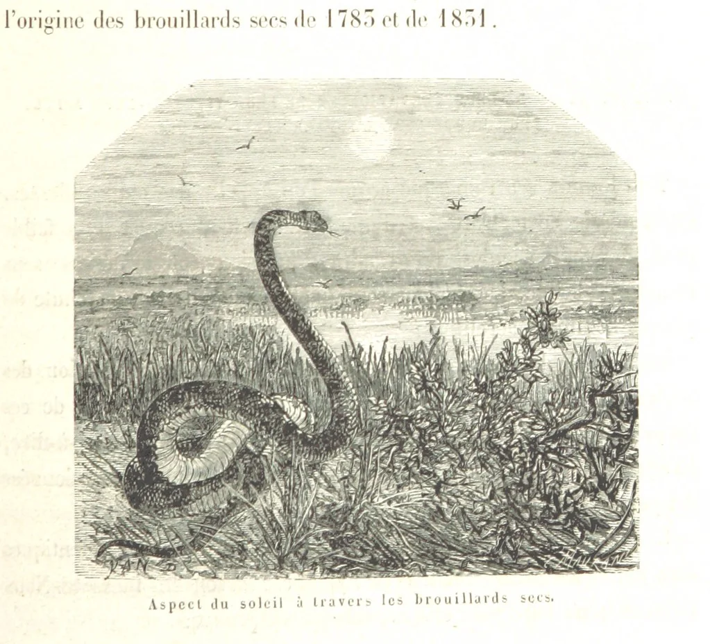 An illustration from L'Espace céleste et la nature tropicale, description physique de l'univers ... préface de M. Babinet, dessins de Yan' Dargent, 1866, leaf 603