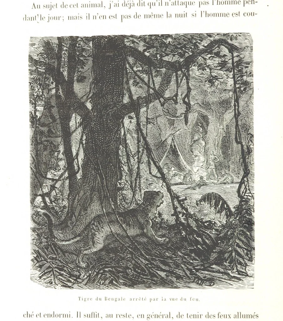 An illustration from L'Espace céleste et la nature tropicale, description physique de l'univers ... préface de M. Babinet, dessins de Yan' Dargent, 1866, leaf 62