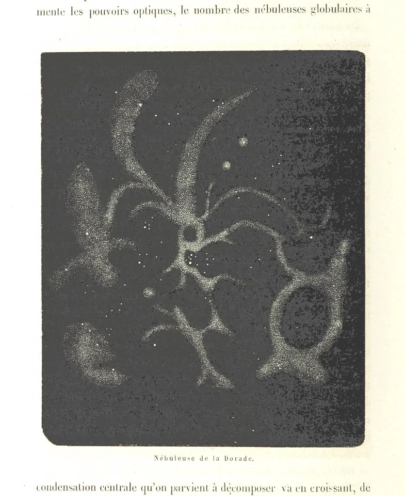 An illustration from L'Espace céleste et la nature tropicale, description physique de l'univers ... préface de M. Babinet, dessins de Yan' Dargent, 1866, leaf 642