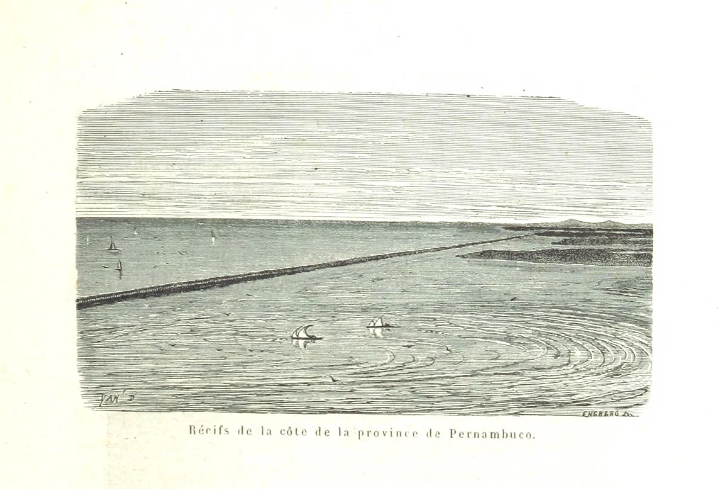 An illustration from L'Espace céleste et la nature tropicale, description physique de l'univers ... préface de M. Babinet, dessins de Yan' Dargent, 1866, leaf 651
