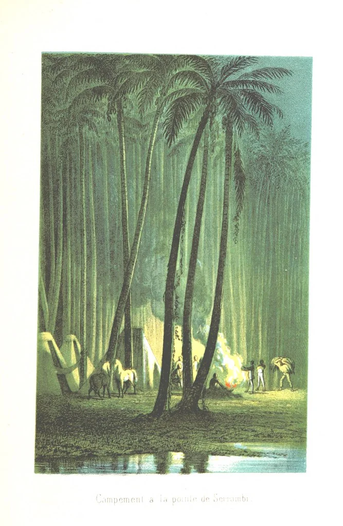 An illustration from L'Espace céleste et la nature tropicale, description physique de l'univers ... préface de M. Babinet, dessins de Yan' Dargent, 1866, leaf 655