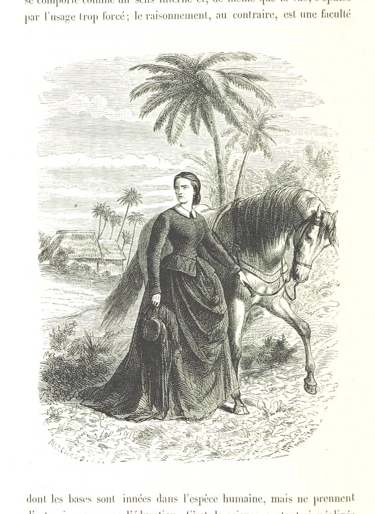 An illustration from L'Espace céleste et la nature tropicale, description physique de l'univers ... préface de M. Babinet, dessins de Yan' Dargent, 1866, leaf 662