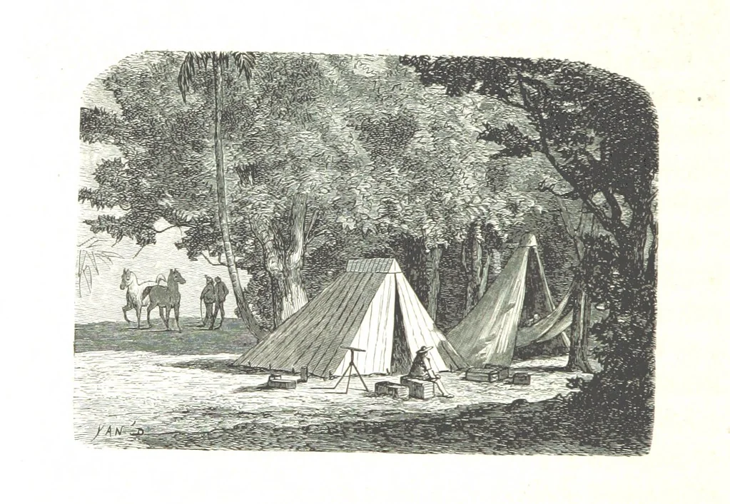 An illustration from L'Espace céleste et la nature tropicale, description physique de l'univers ... préface de M. Babinet, dessins de Yan' Dargent, 1866, leaf 672