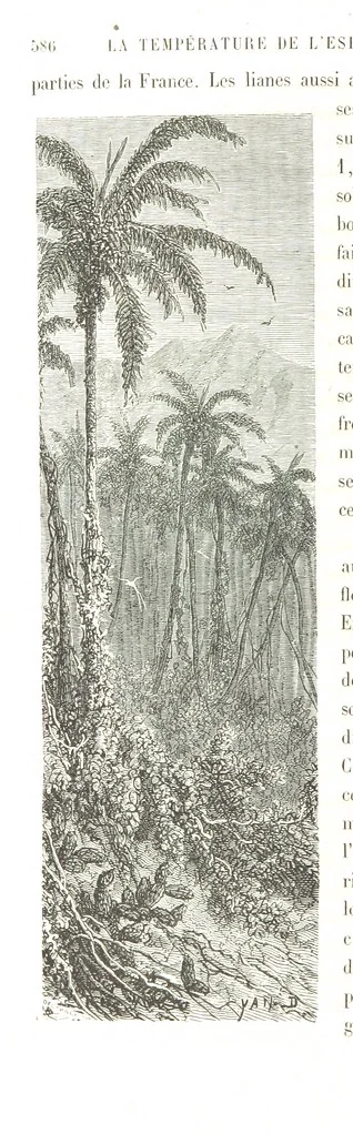An illustration from L'Espace céleste et la nature tropicale, description physique de l'univers ... préface de M. Babinet, dessins de Yan' Dargent, 1866, leaf 688
