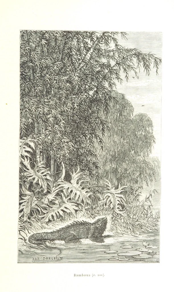 An illustration from L'Espace céleste et la nature tropicale, description physique de l'univers ... préface de M. Babinet, dessins de Yan' Dargent, 1866, leaf 689