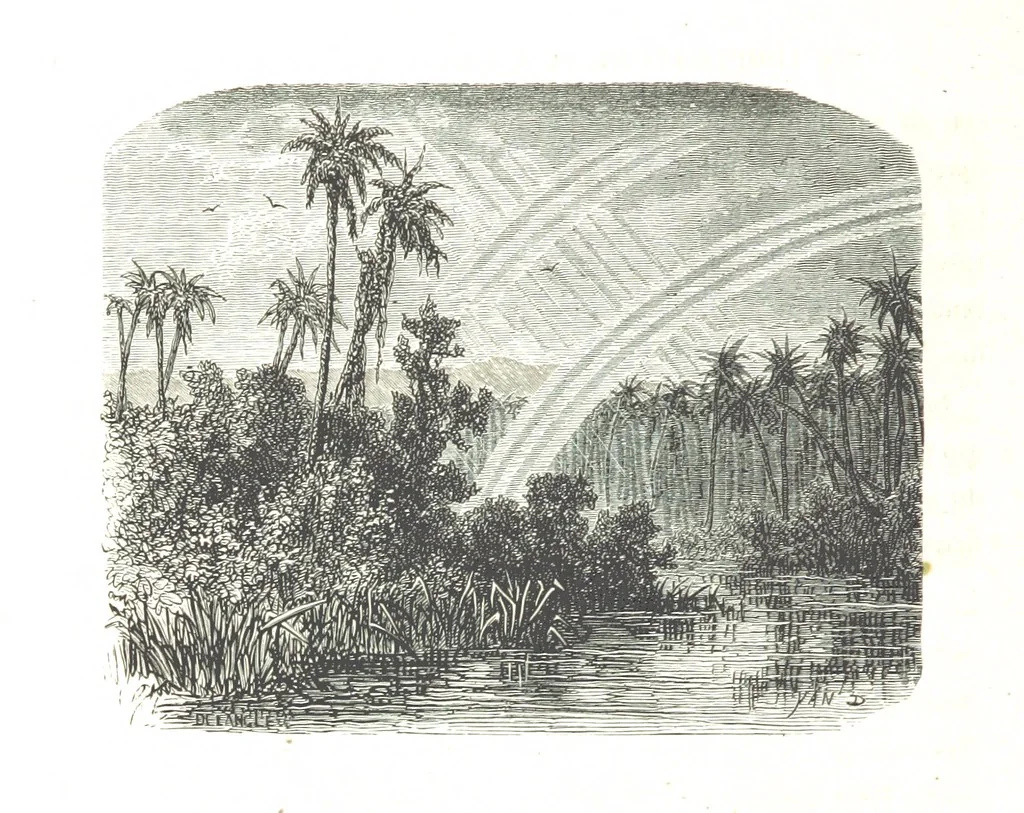An illustration from L'Espace céleste et la nature tropicale, description physique de l'univers ... préface de M. Babinet, dessins de Yan' Dargent, 1866, leaf 692