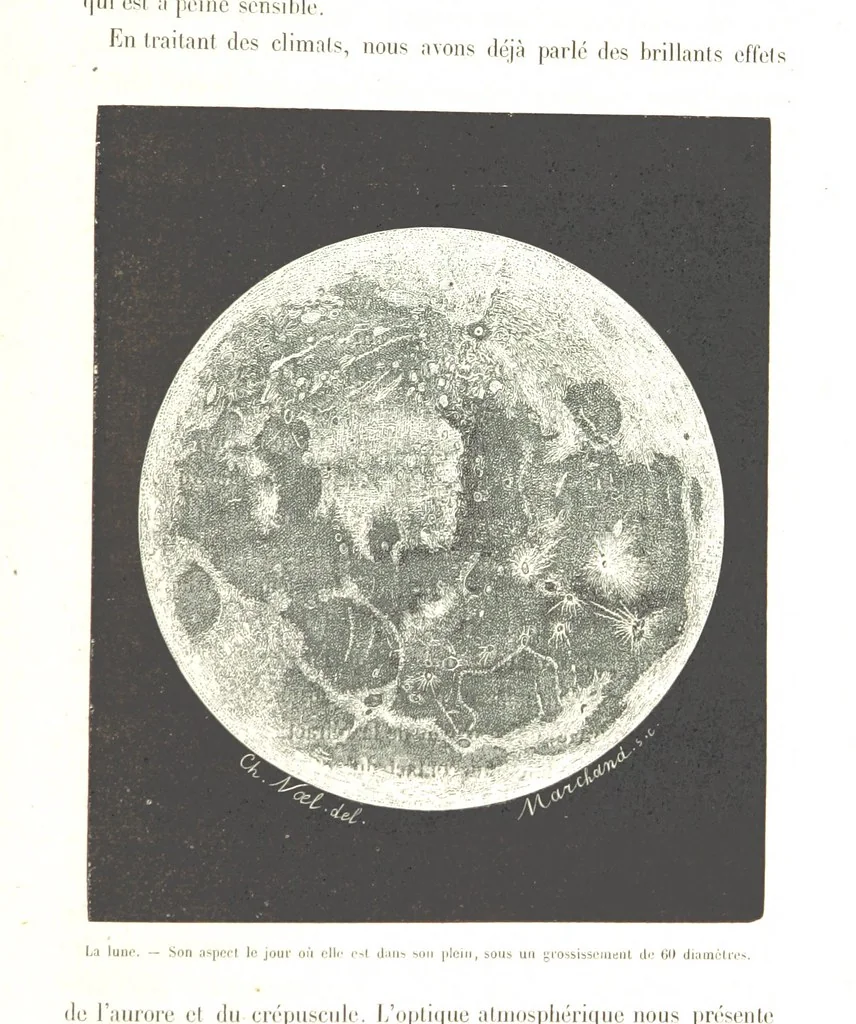 An illustration from L'Espace céleste et la nature tropicale, description physique de l'univers ... préface de M. Babinet, dessins de Yan' Dargent, 1866, leaf 703