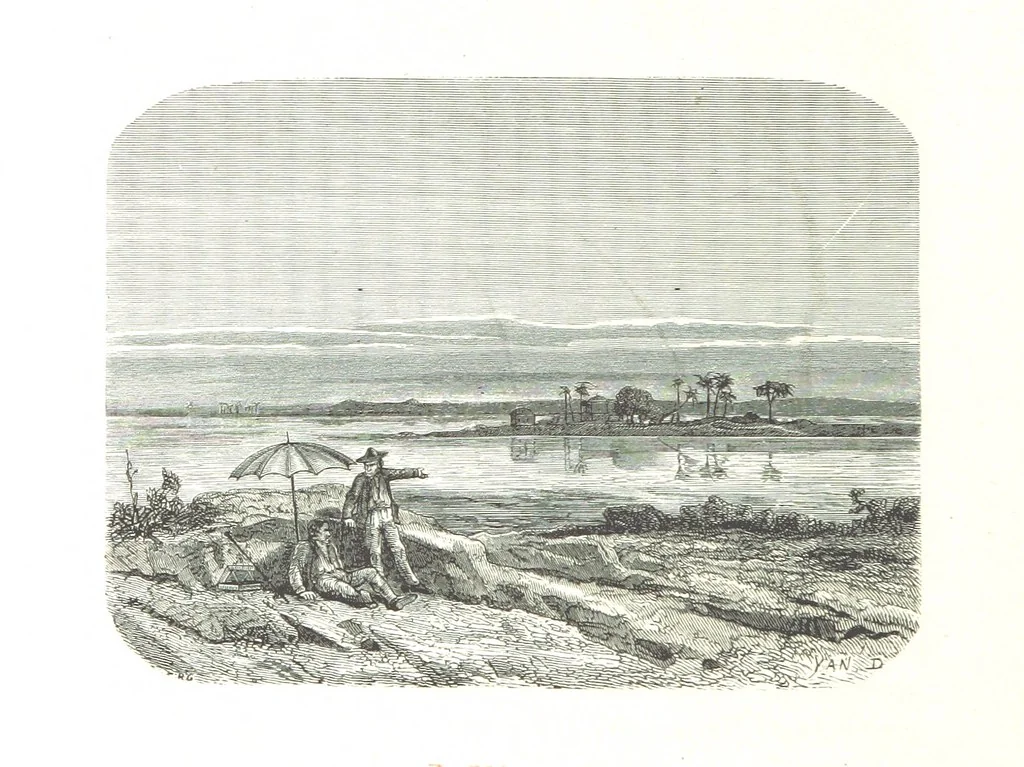 An illustration from L'Espace céleste et la nature tropicale, description physique de l'univers ... préface de M. Babinet, dessins de Yan' Dargent, 1866, leaf 706