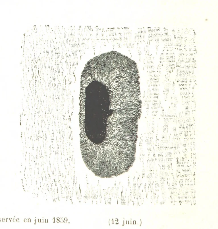 An illustration from L'Espace céleste et la nature tropicale, description physique de l'univers ... préface de M. Babinet, dessins de Yan' Dargent, 1866, leaf 92
