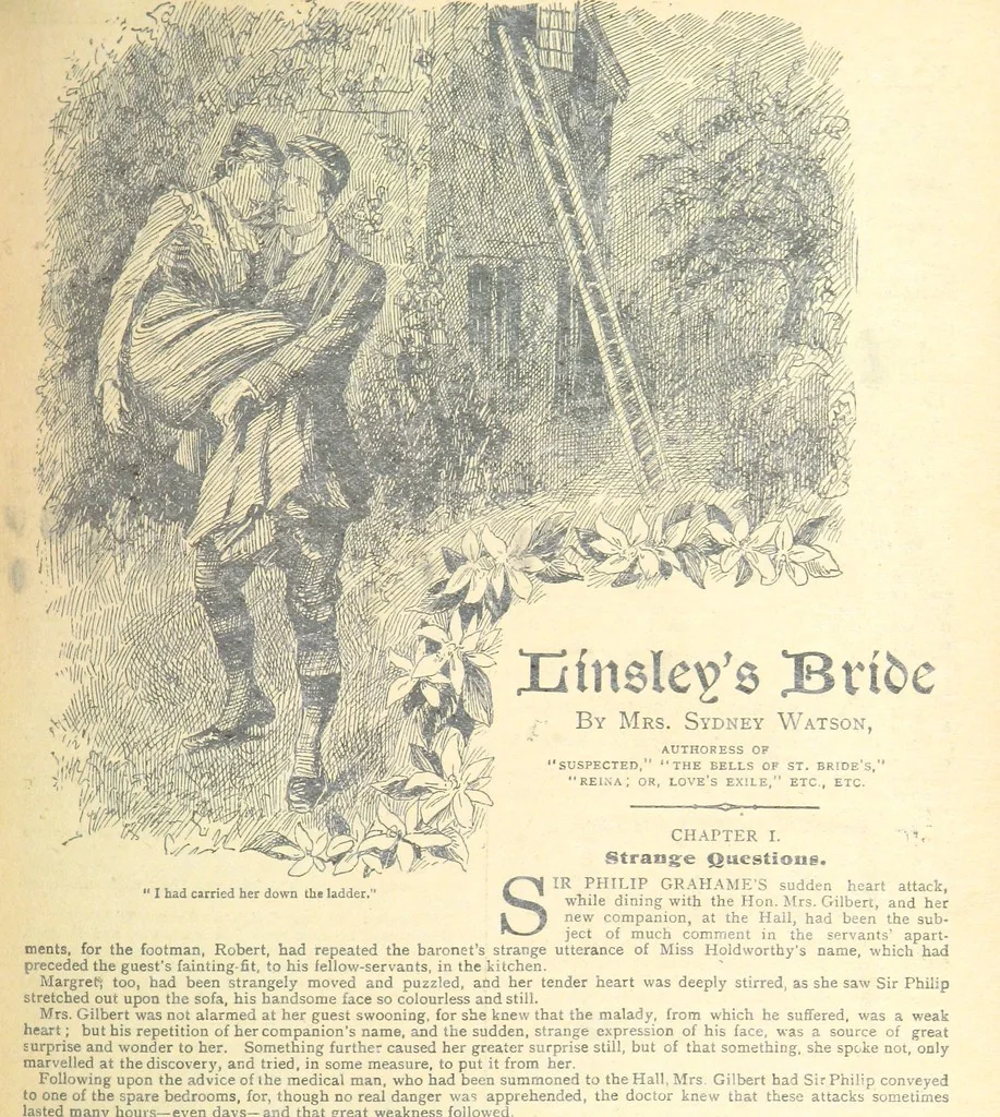 An illustration from Thrilling Life Stories for the Masses, 1892, leaf 169