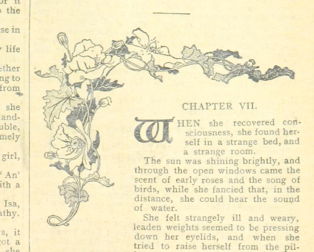 An illustration from Thrilling Life Stories for the Masses, 1892, leaf 199