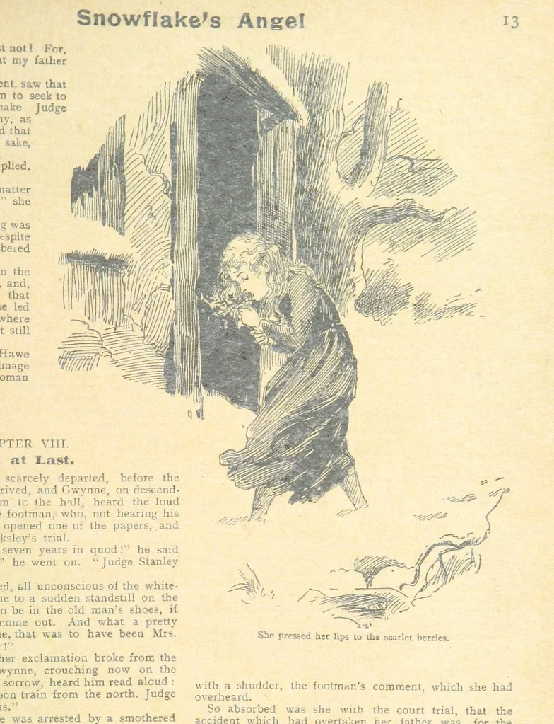 An illustration from Thrilling Life Stories for the Masses, 1892, leaf 241