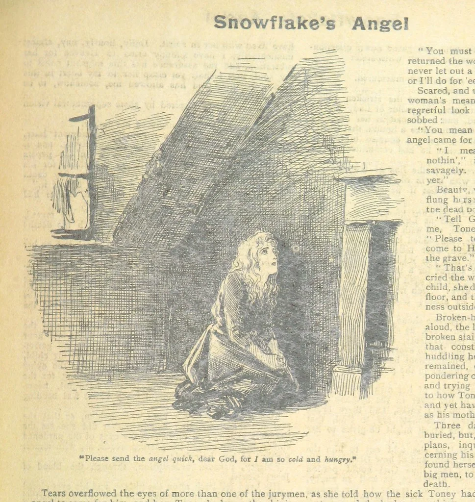 An illustration from Thrilling Life Stories for the Masses, 1892, leaf 255