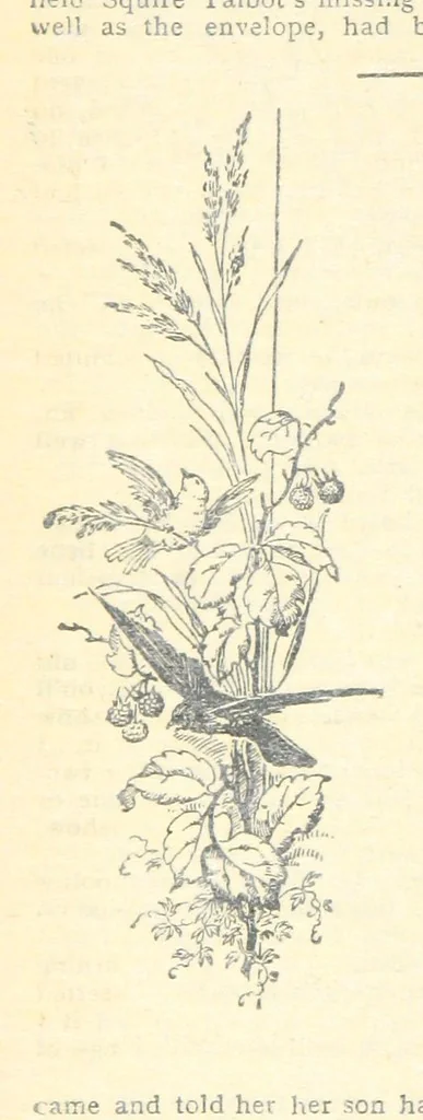 An illustration from Thrilling Life Stories for the Masses, 1892, leaf 316