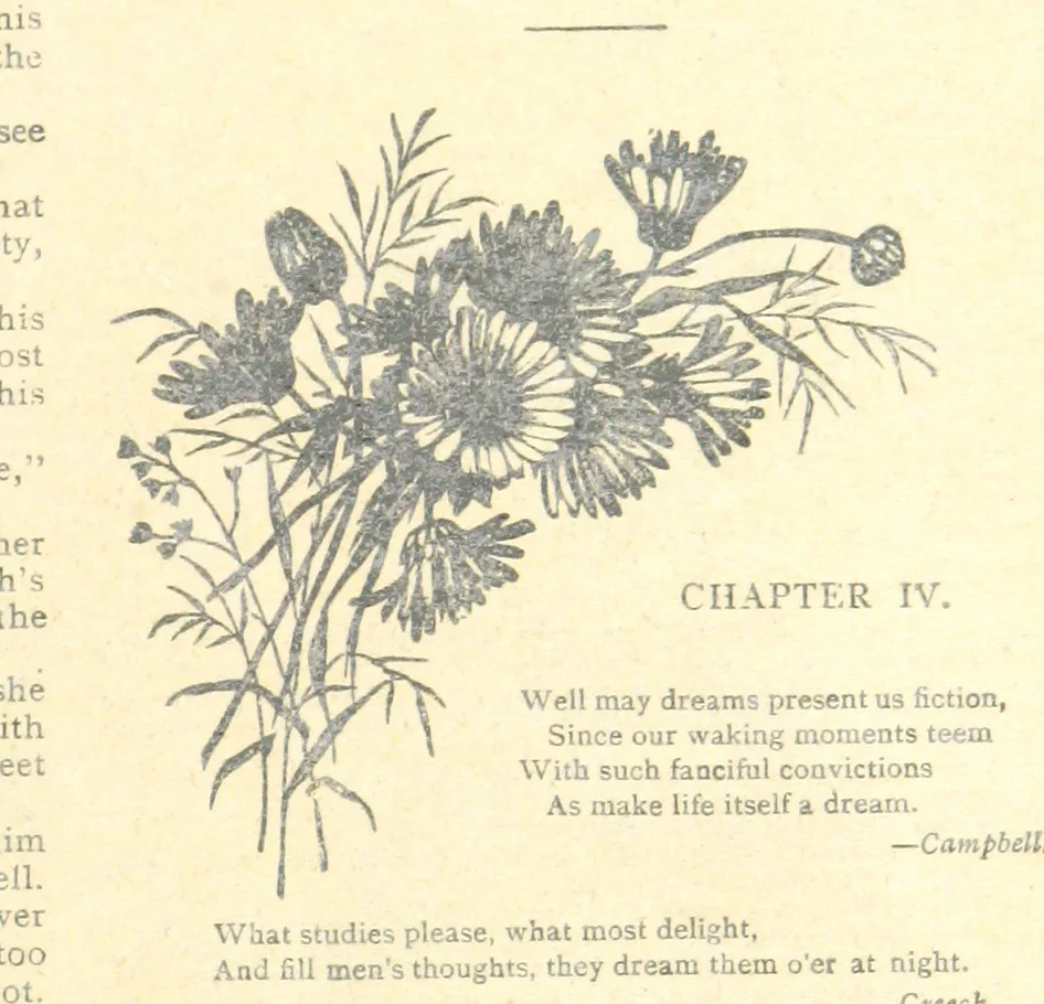 An illustration from Thrilling Life Stories for the Masses, 1892, leaf 33