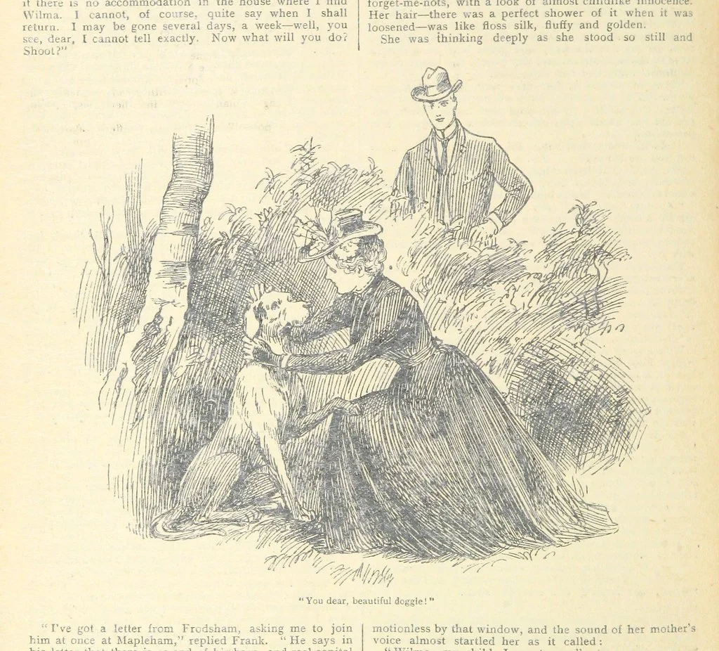 An illustration from Thrilling Life Stories for the Masses, 1892, leaf 348
