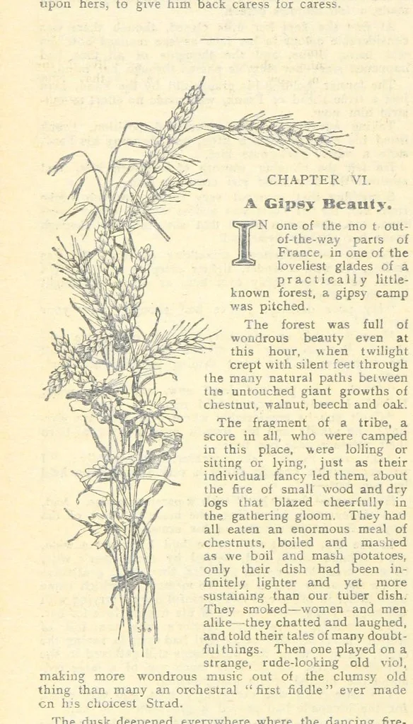 An illustration from Thrilling Life Stories for the Masses, 1892, leaf 354