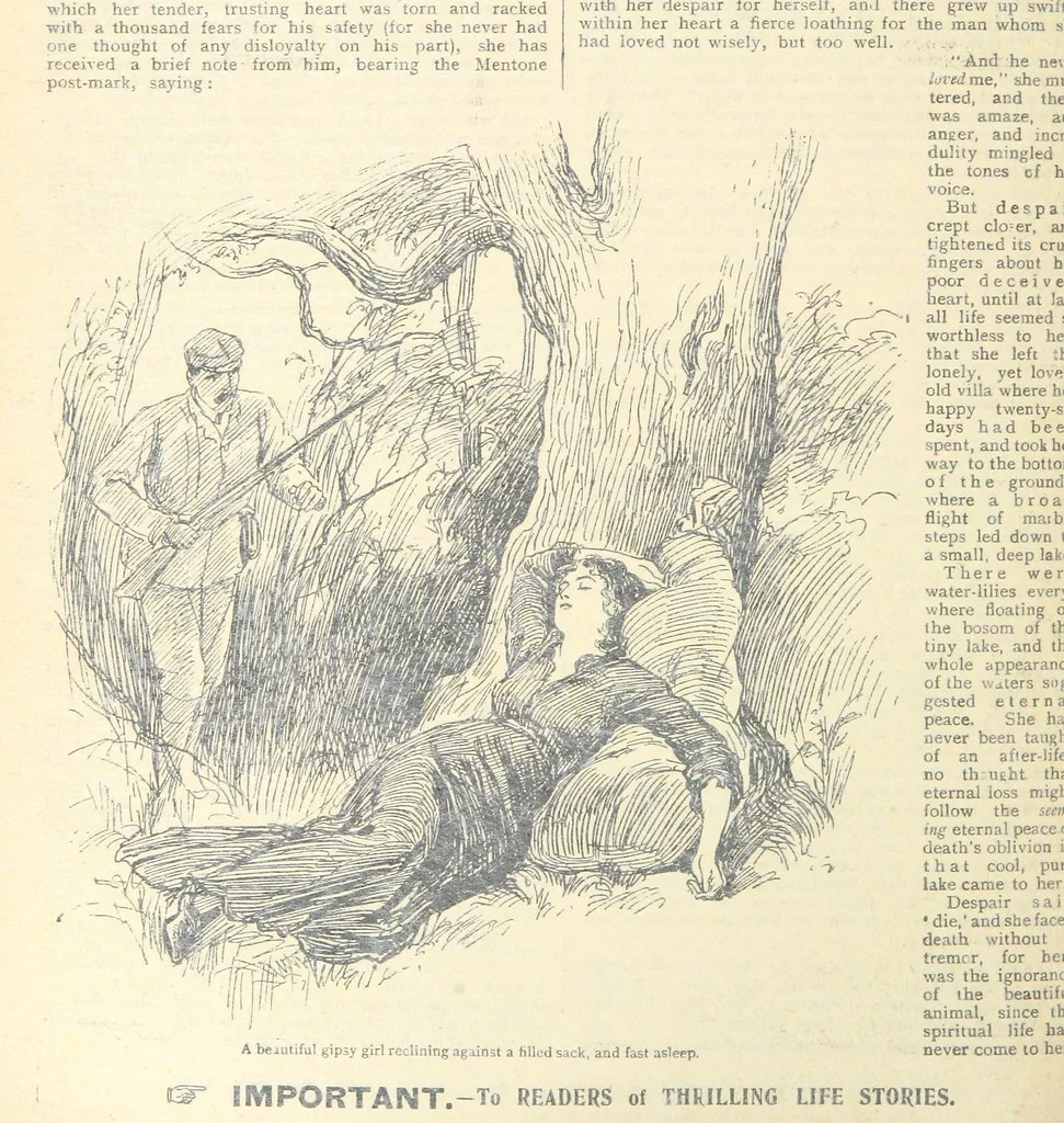 An illustration from Thrilling Life Stories for the Masses, 1892, leaf 356