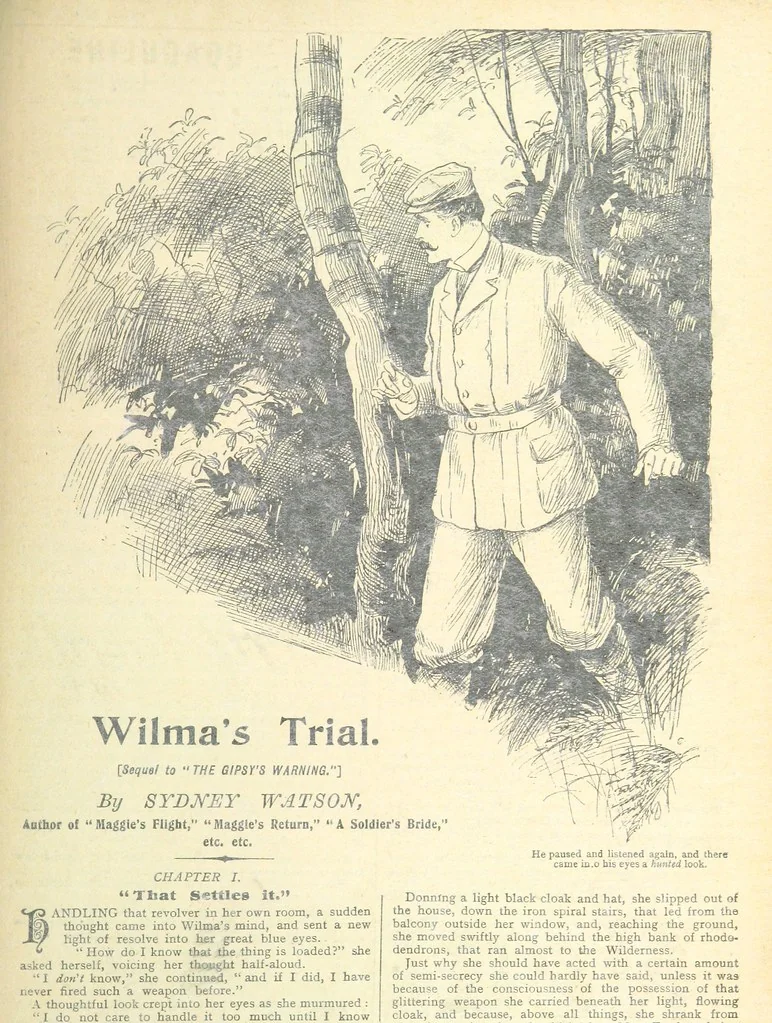An illustration from Thrilling Life Stories for the Masses, 1892, leaf 365