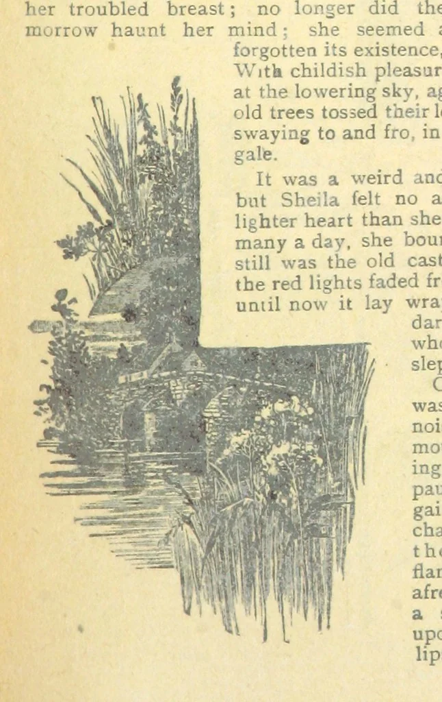 An illustration from Thrilling Life Stories for the Masses, 1892, leaf 37
