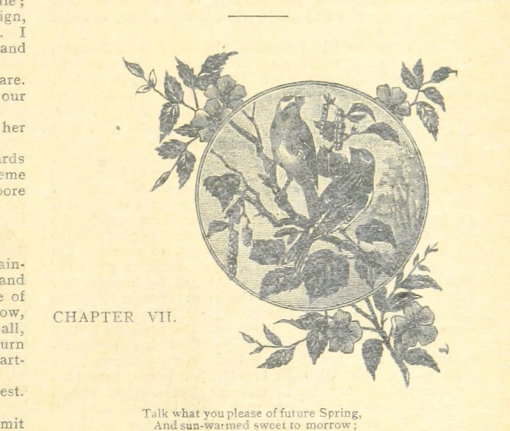 An illustration from Thrilling Life Stories for the Masses, 1892, leaf 39