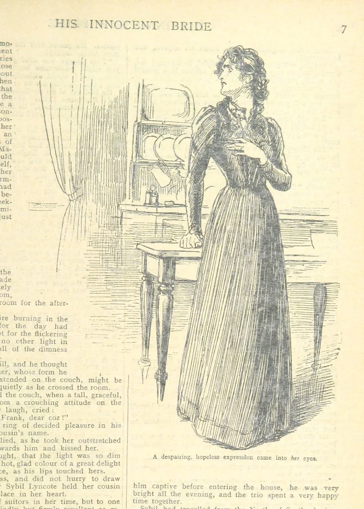 An illustration from Thrilling Life Stories for the Masses, 1892, leaf 411