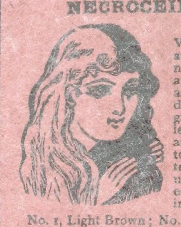 An illustration from Thrilling Life Stories for the Masses, 1892, leaf 424