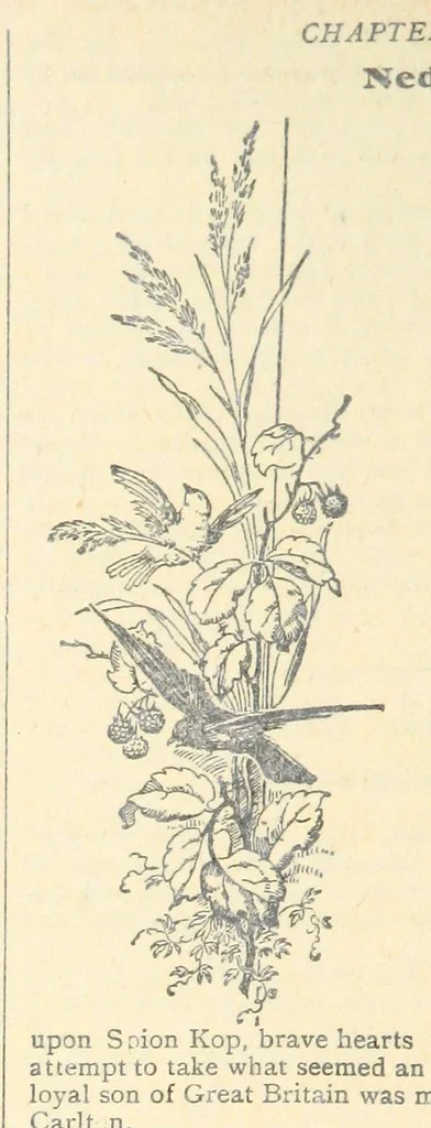An illustration from Thrilling Life Stories for the Masses, 1892, leaf 436