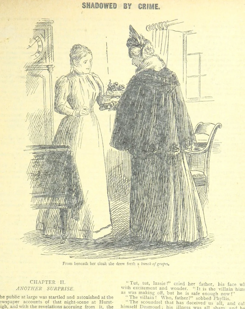 An illustration from Thrilling Life Stories for the Masses, 1892, leaf 211