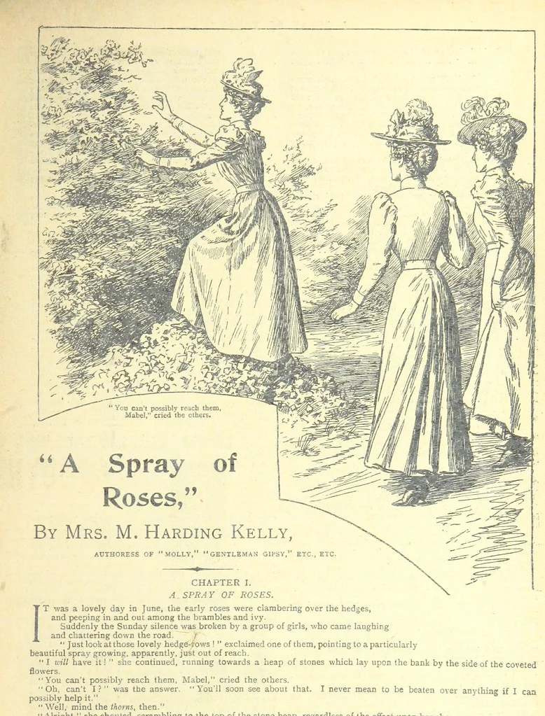 An illustration from Thrilling Life Stories for the Masses, 1892, leaf 289